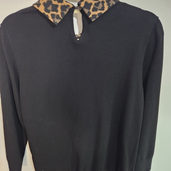 Talbots collared sweater, size medium - Picture 4 of 7